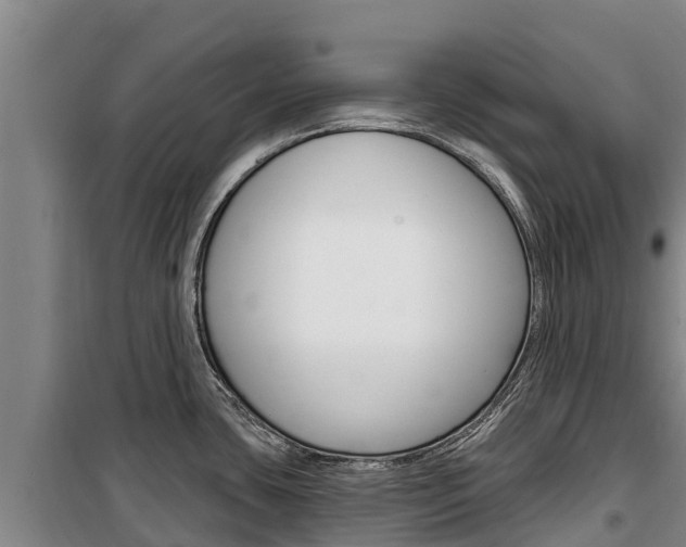 X0000100361435200806060813
