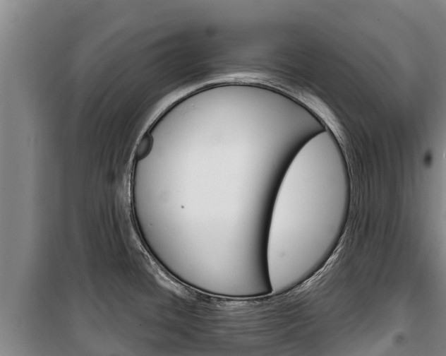 X0000100361436200806060813