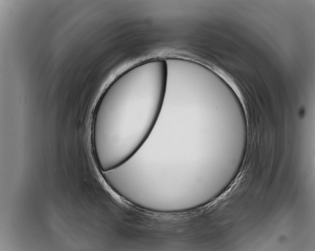 X0000100361437200806060813