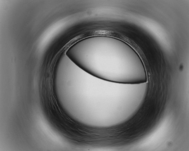 X0000100361438200806060813