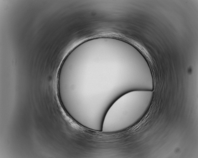 X0000100361439200806060813