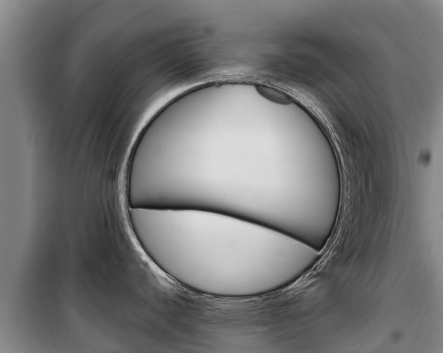 X0000100361440200806060813