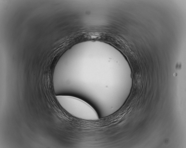 X0000100361442200806060812