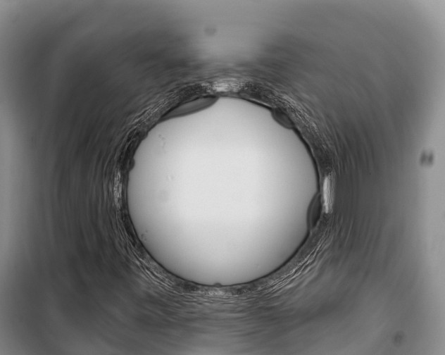 X0000100361443200806060812