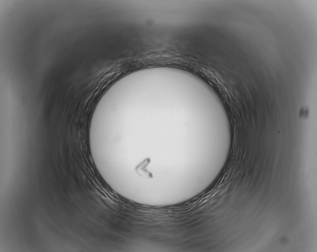 X0000100361444200806060812
