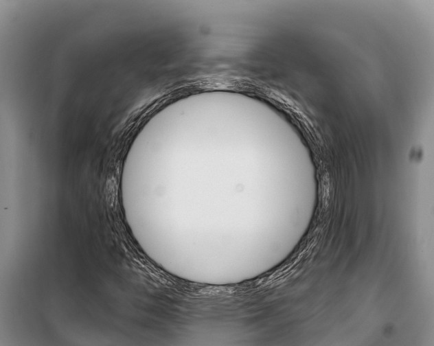 X0000100361446200806060812