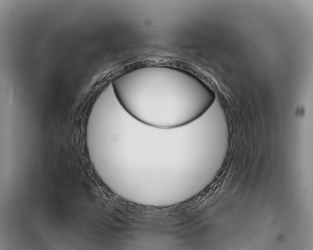 X0000100361447200806060812