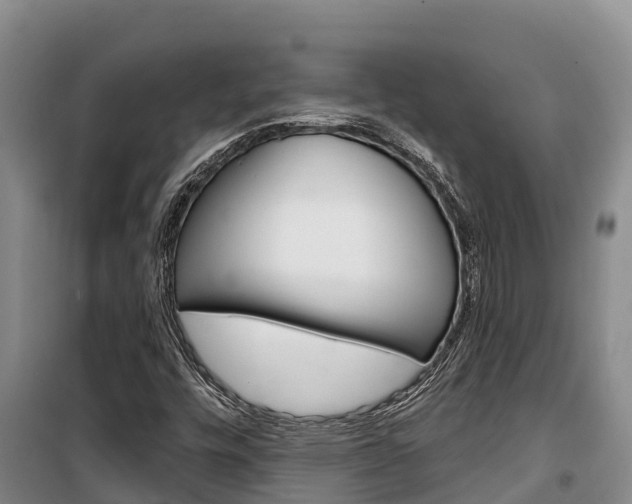X0000100361448200806060812