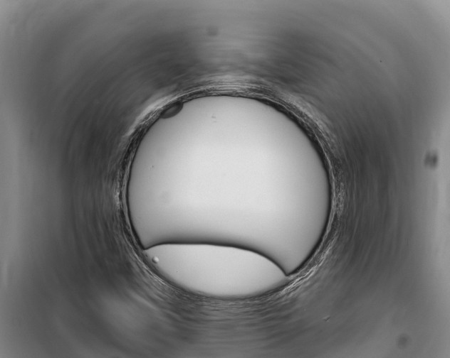 X0000100361451200806060812