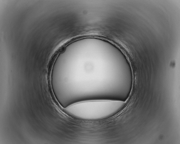 X0000100361452200806060812