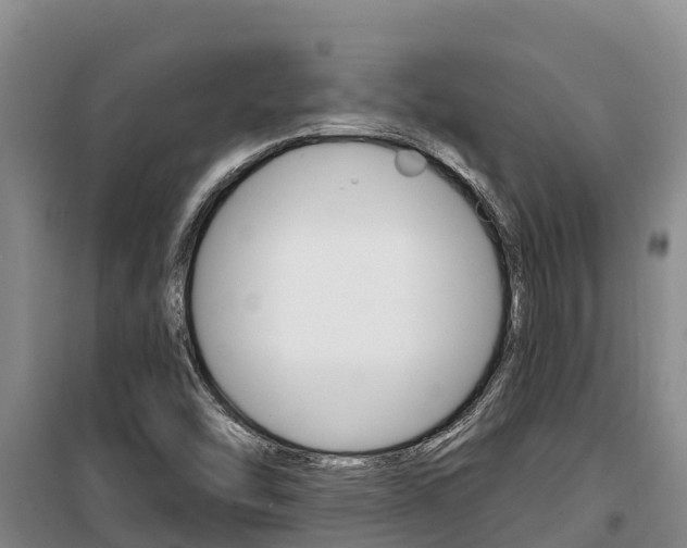 X0000100361454200806060812