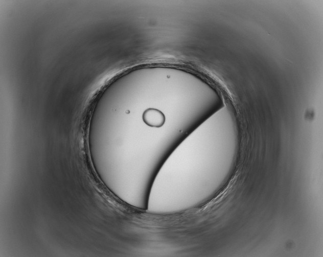 X0000100361455200806060812