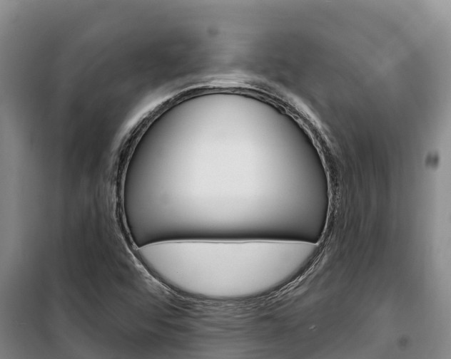 X0000100361456200806060812