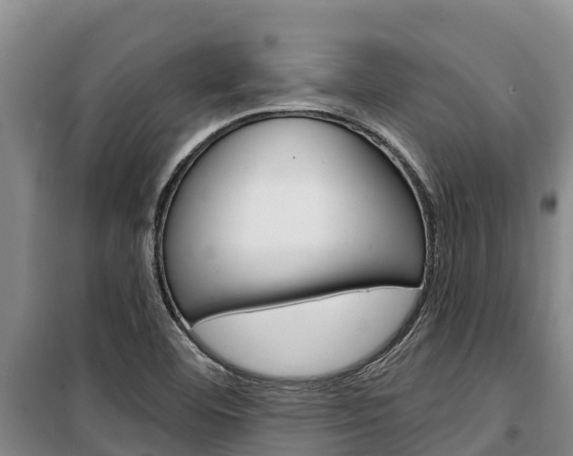 X0000100361460200806060812
