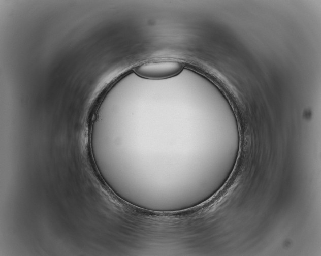 X0000100361461200806060812