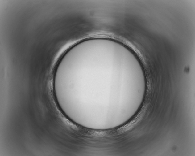 X0000100361462200806060812
