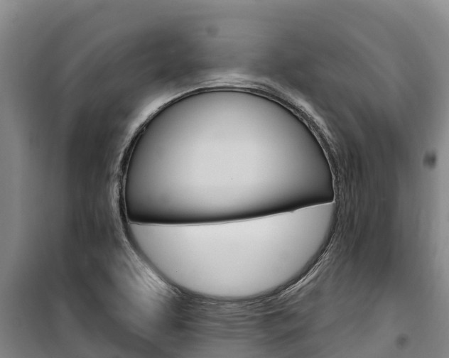 X0000100361463200806060812