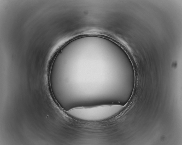 X0000100361464200806060812