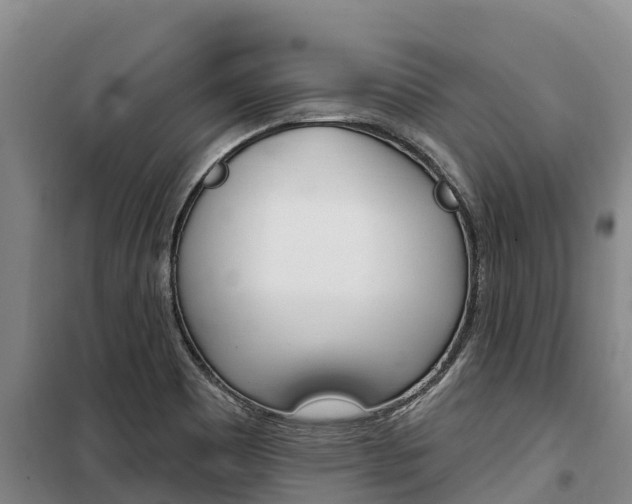 X0000100361465200806060812