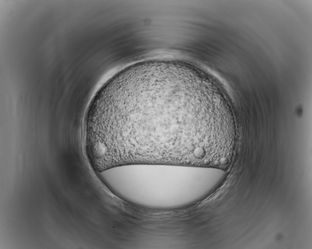 X0000100361467200806060812