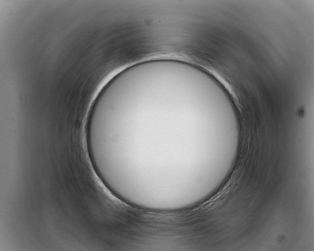 X0000100361468200806060812