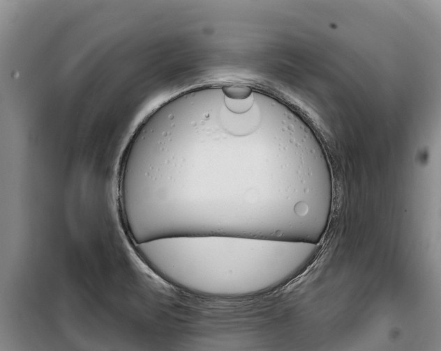 X0000100361471200806060812