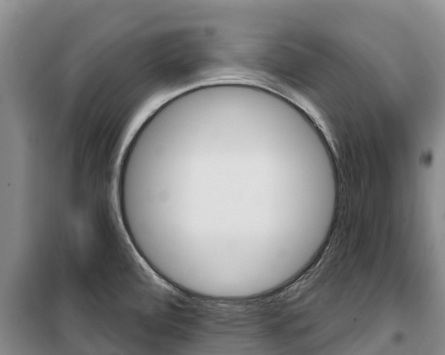 X0000100361472200806060812
