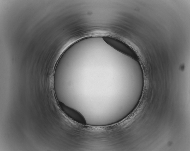 X0000100361473200806060812