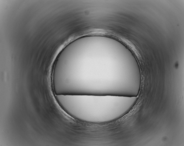 X0000100361475200806060811