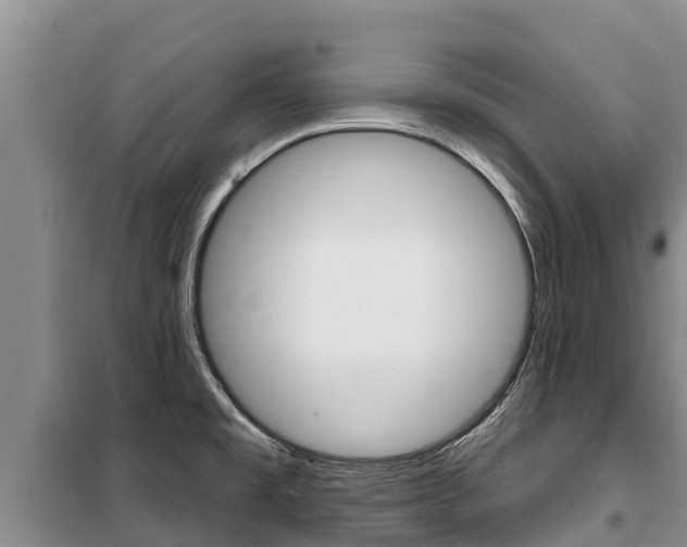 X0000100361477200806060811