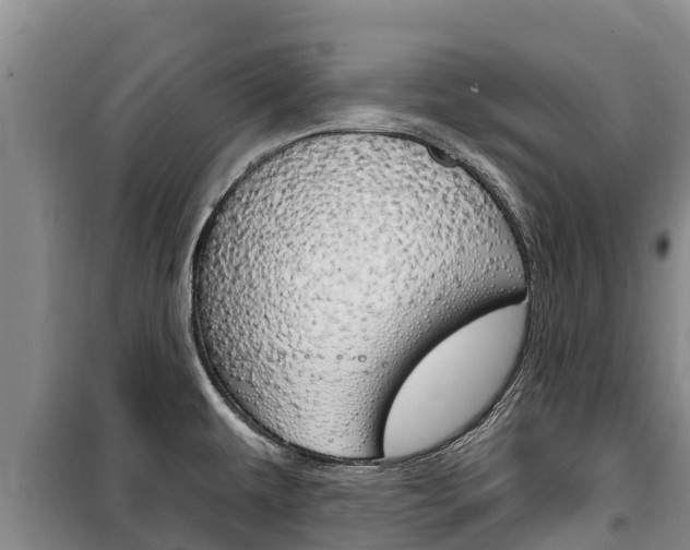 X0000100361479200806060811