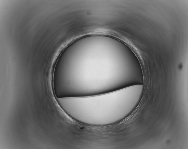 X0000100361480200806060811