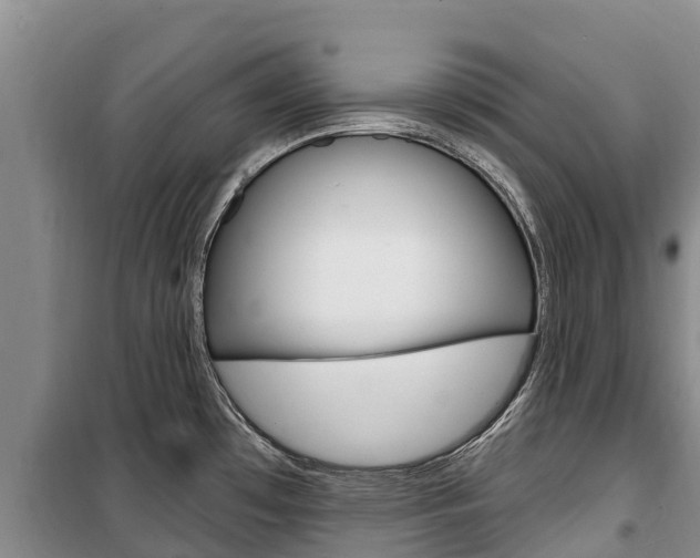 X0000100361481200806060811