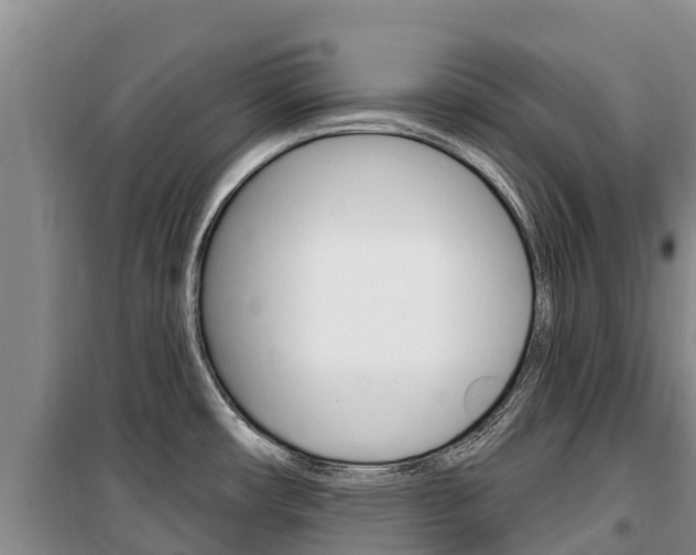 X0000100361482200806060811