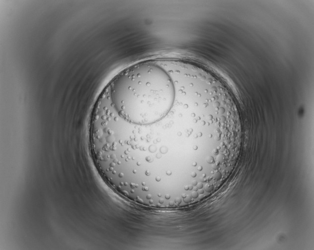 X0000100361483200806060811