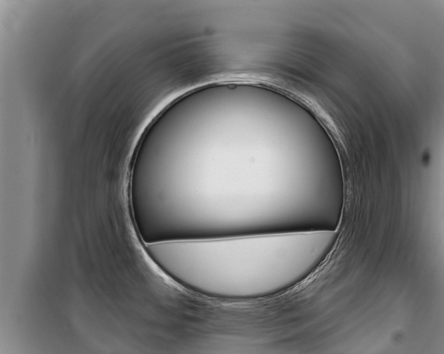 X0000100361484200806060811