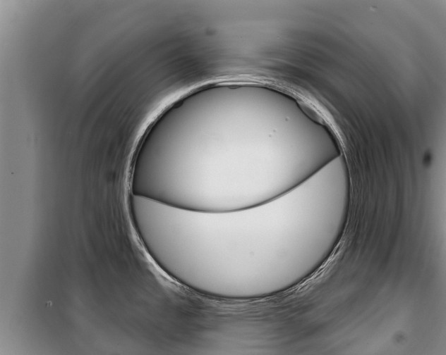 X0000100361485200806060811