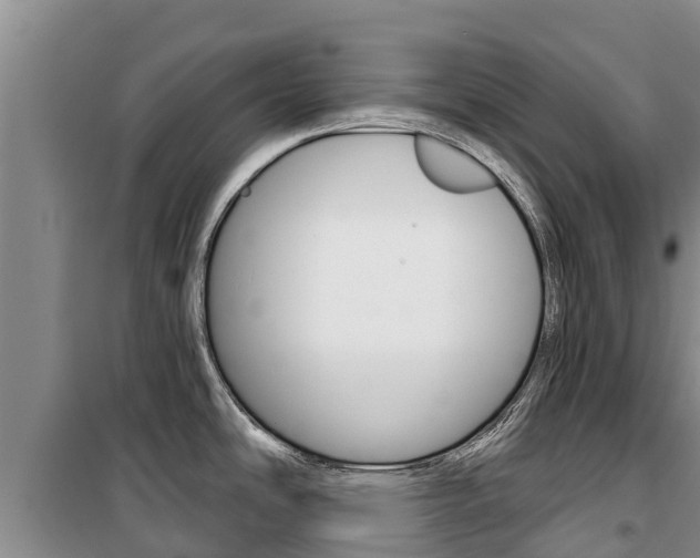 X0000100361486200806060811