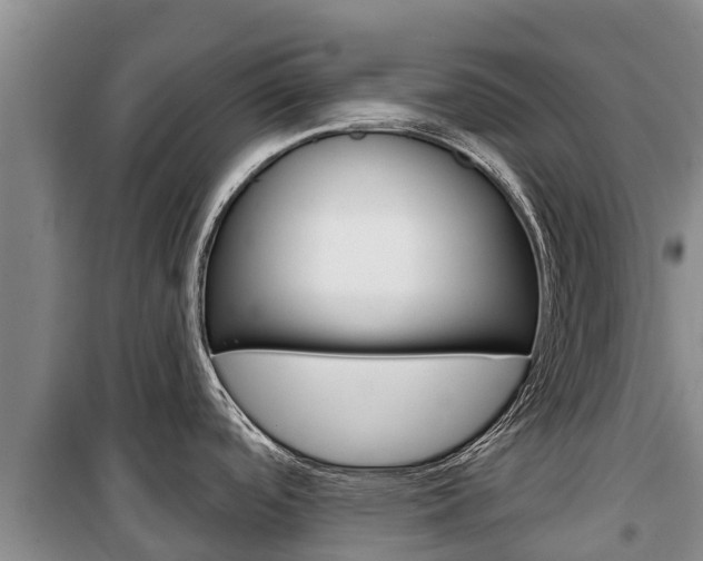 X0000100361488200806060811