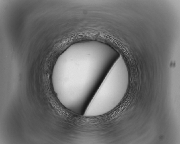 X0000100361489200806060811