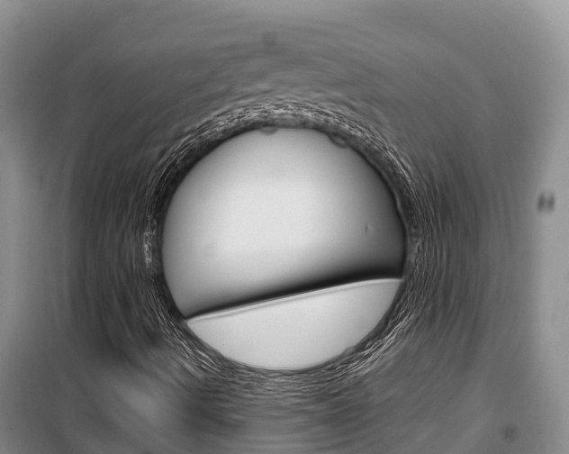 X0000100361490200806060811