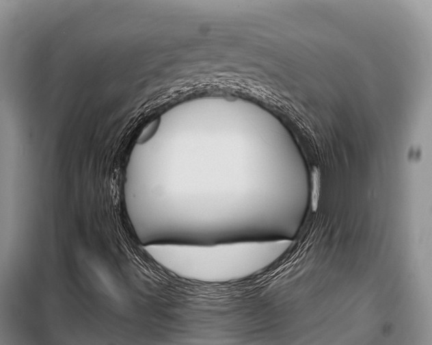 X0000100361491200806060811