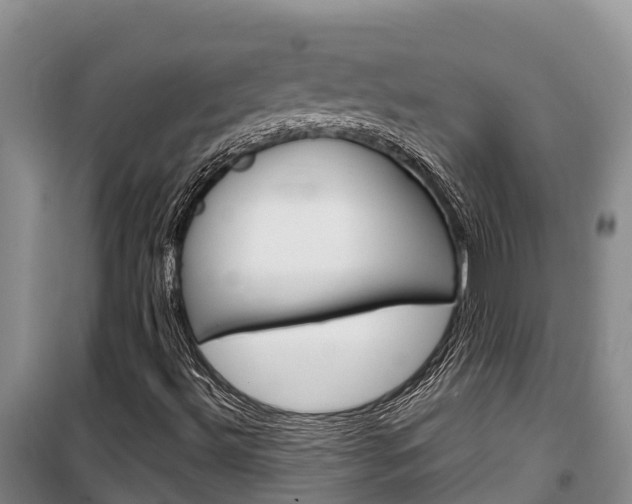 X0000100361492200806060811