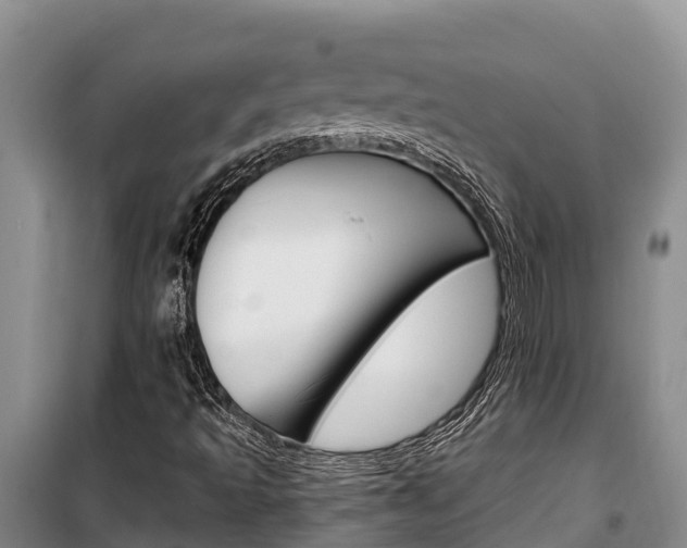 X0000100361493200806060811