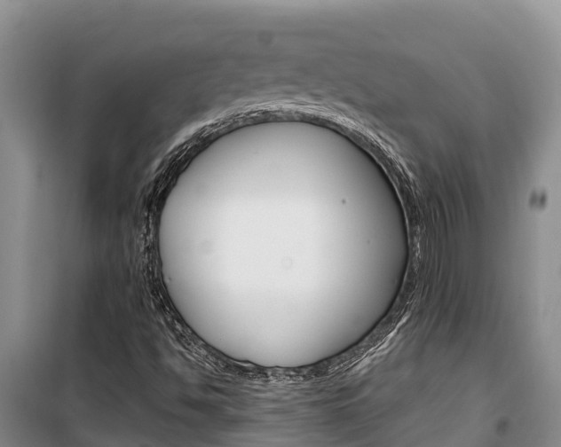 X0000100361494200806060811