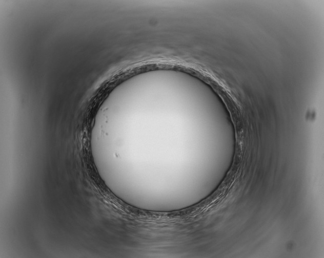 X0000100361495200806060811