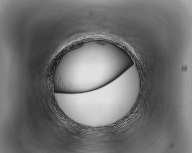 X0000100361496200806060811