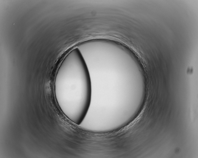 X0000100361497200806060811