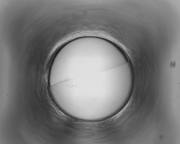 X0000100361498200806060811