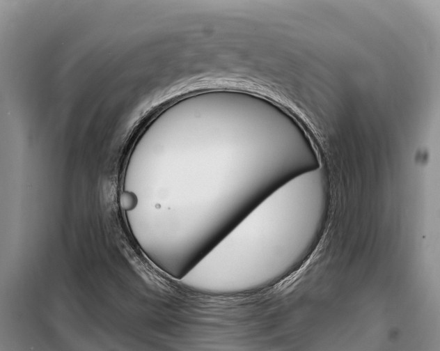 X0000100361499200806060811